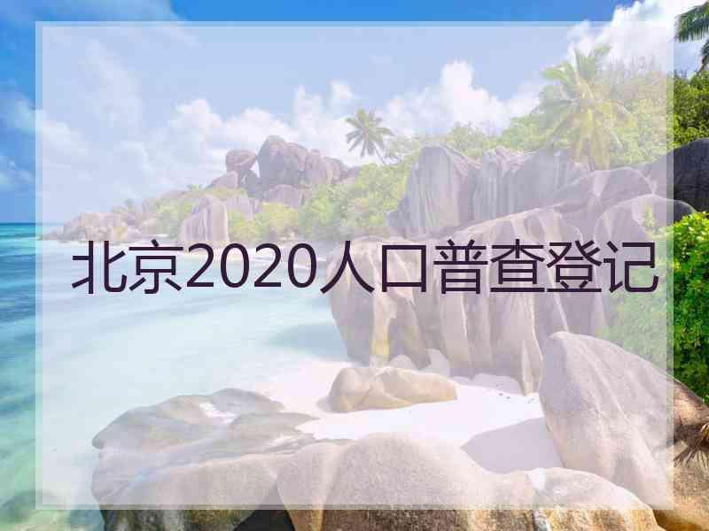 北京2020人口普查登记