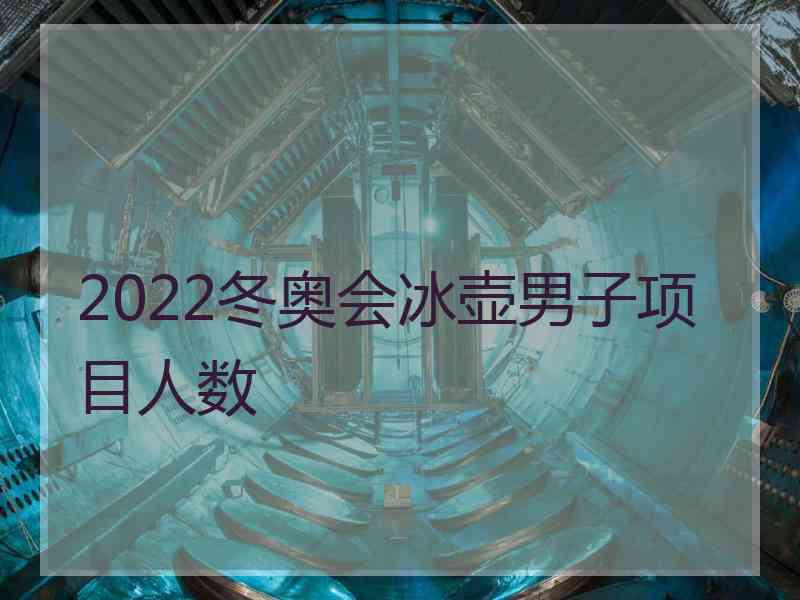 2022冬奥会冰壶男子项目人数