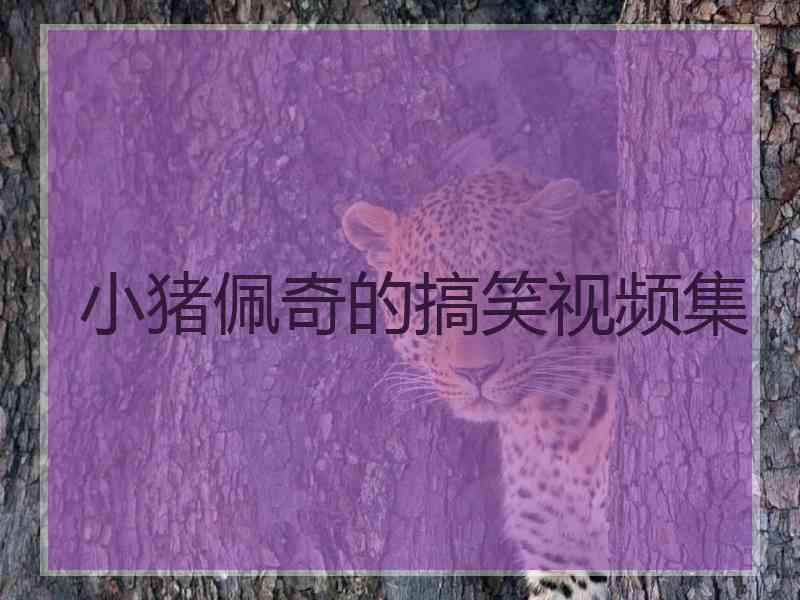 小猪佩奇的搞笑视频集