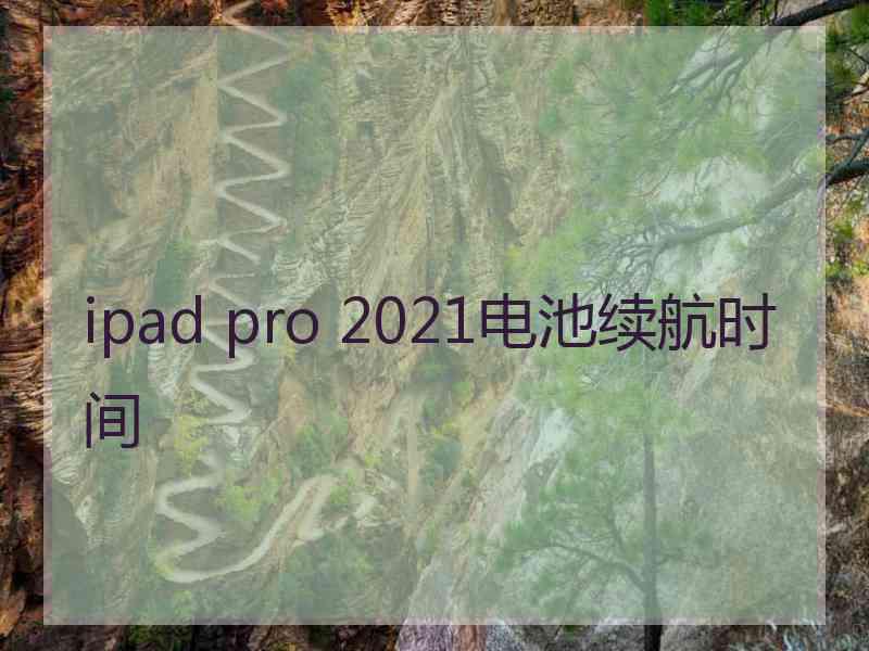 ipad pro 2021电池续航时间