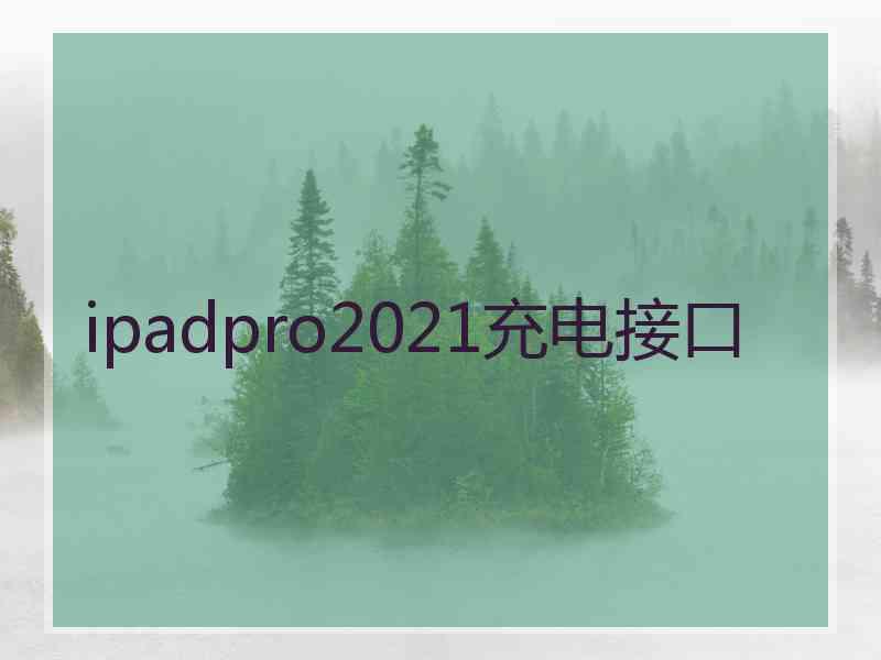 ipadpro2021充电接口