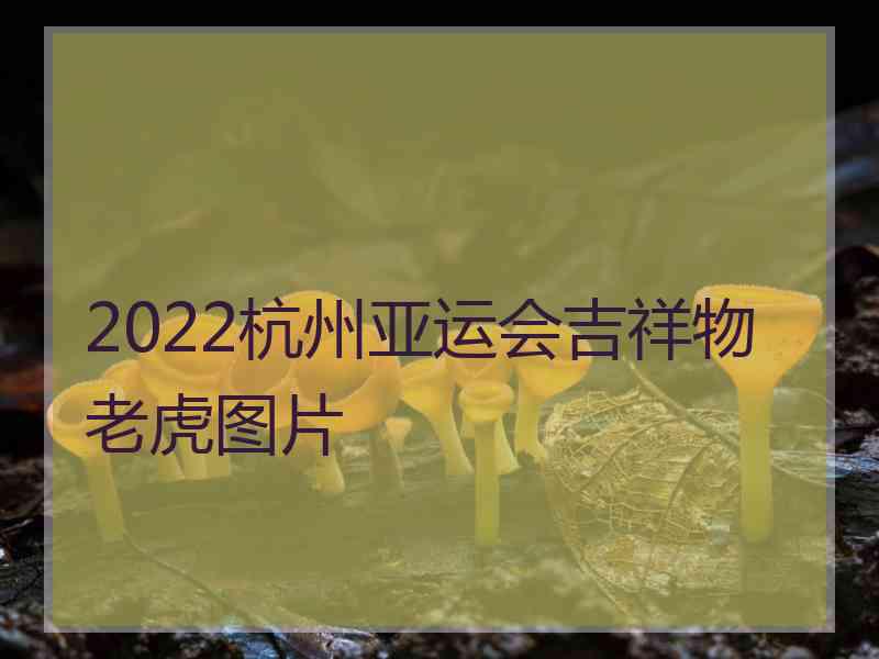 2022杭州亚运会吉祥物老虎图片