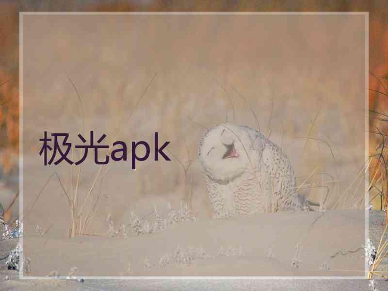 极光apk