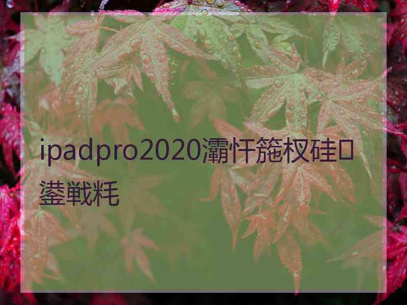 ipadpro2020灞忓箷杈硅鍙戦粍