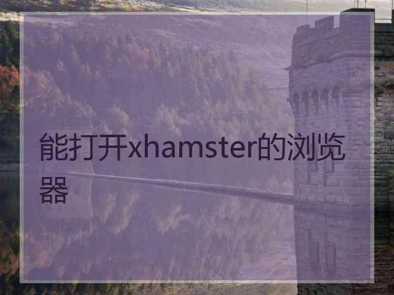 能打开xhamster的浏览器