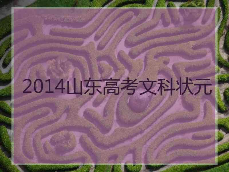 2014山东高考文科状元