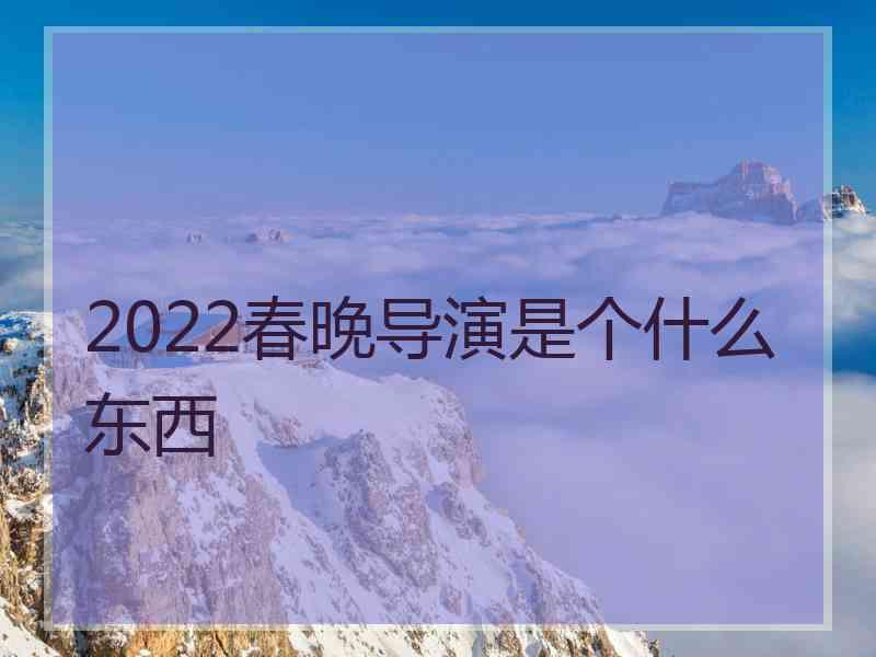 2022春晚导演是个什么东西