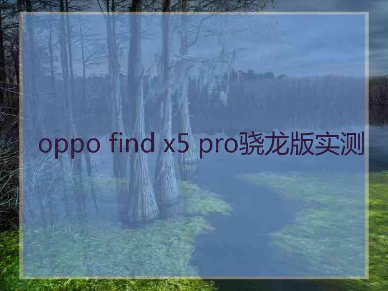 oppo find x5 pro骁龙版实测