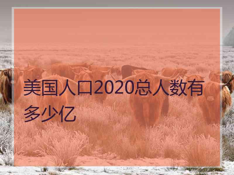 美国人口2020总人数有多少亿