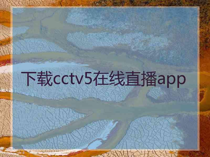 下载cctv5在线直播app