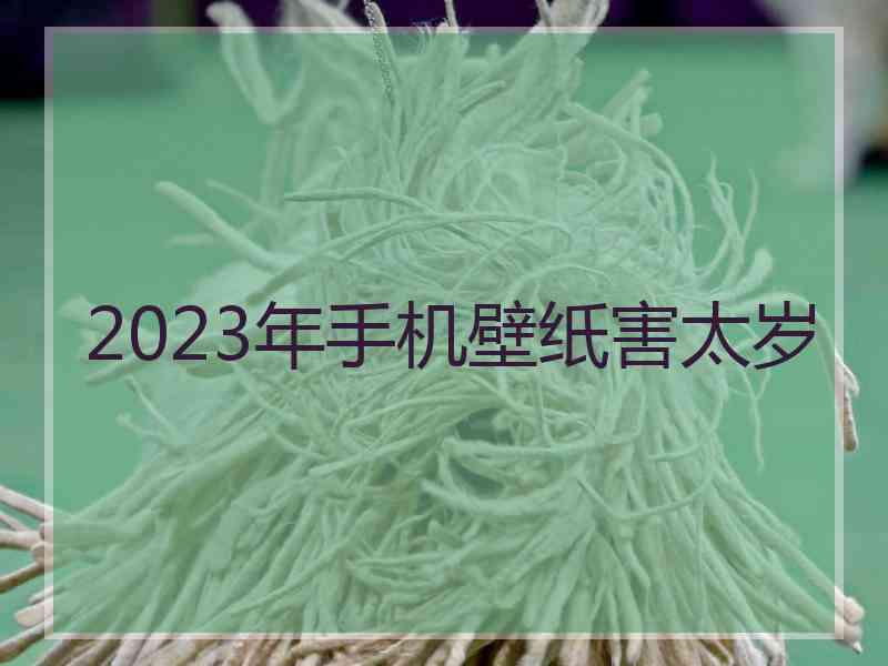 2023年手机壁纸害太岁