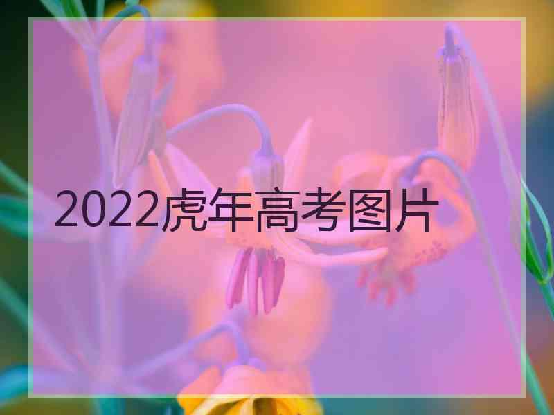 2022虎年高考图片