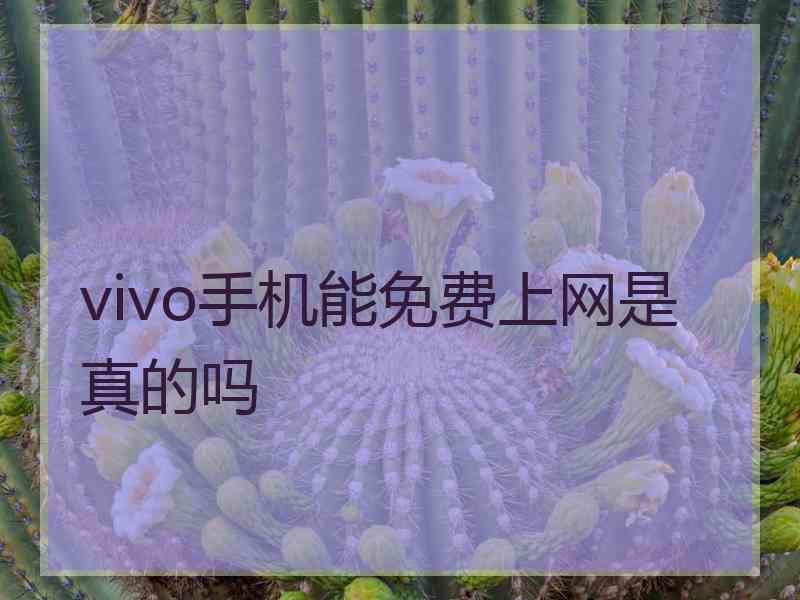 vivo手机能免费上网是真的吗