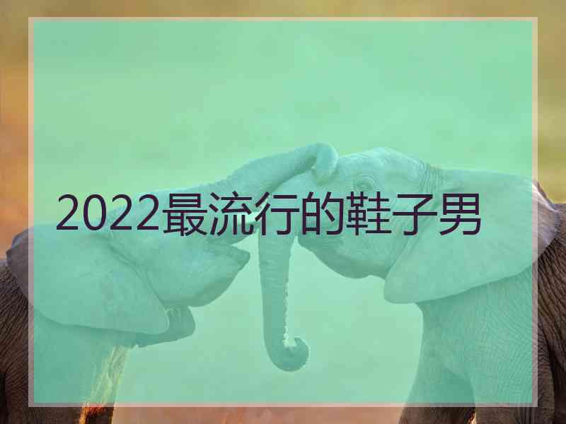 2022最流行的鞋子男