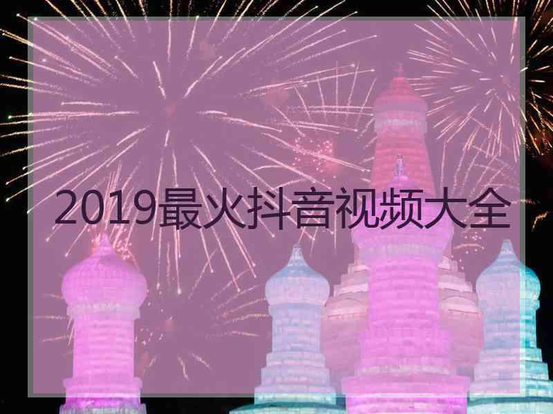 2019最火抖音视频大全