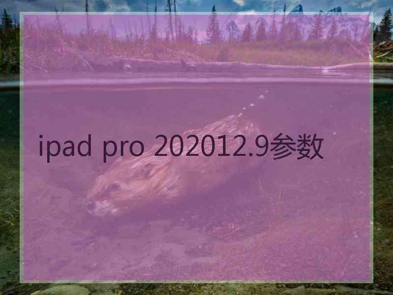 ipad pro 202012.9参数