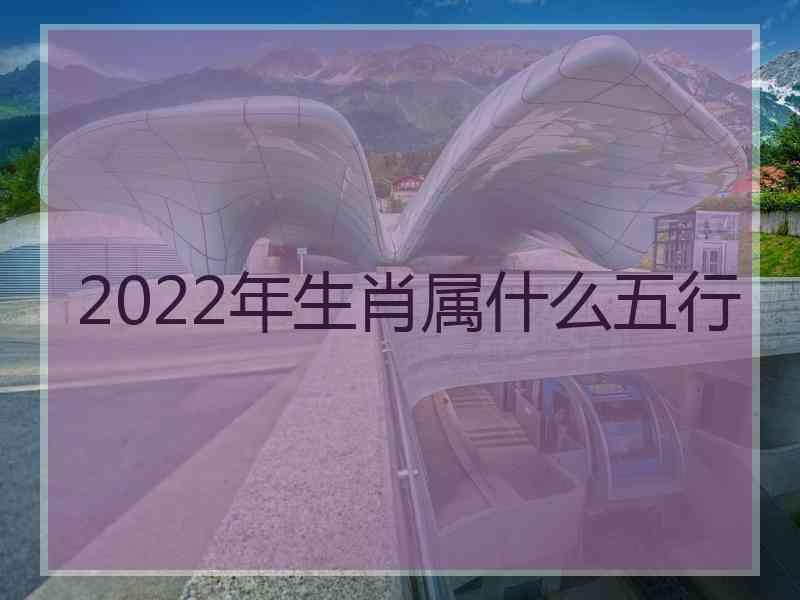 2022年生肖属什么五行