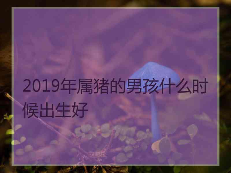 2019年属猪的男孩什么时候出生好