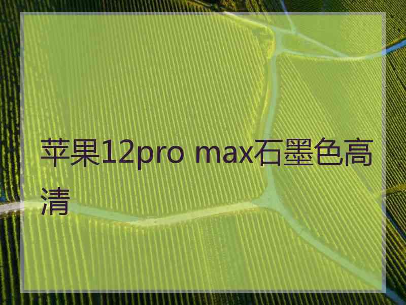 苹果12pro max石墨色高清