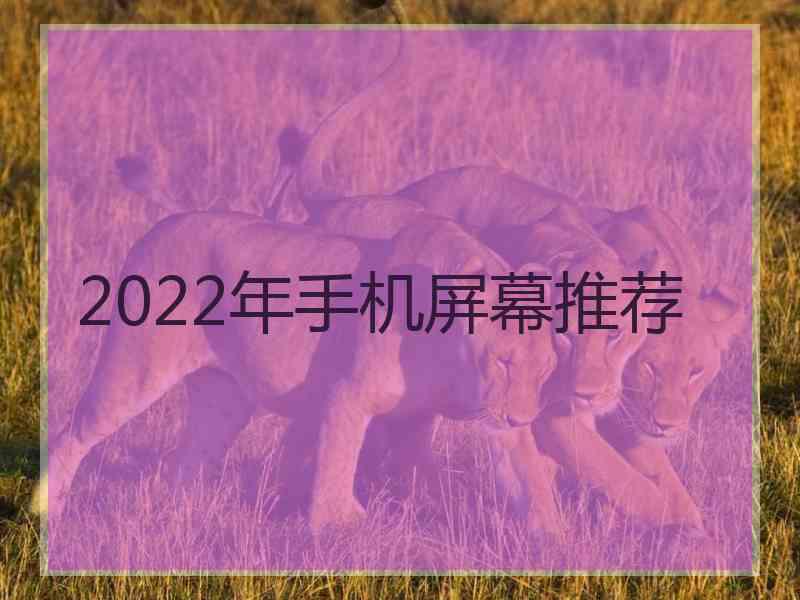 2022年手机屏幕推荐