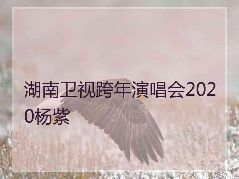 湖南卫视跨年演唱会2020杨紫