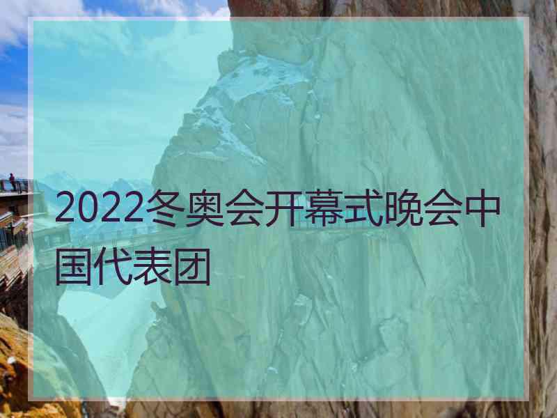 2022冬奥会开幕式晚会中国代表团