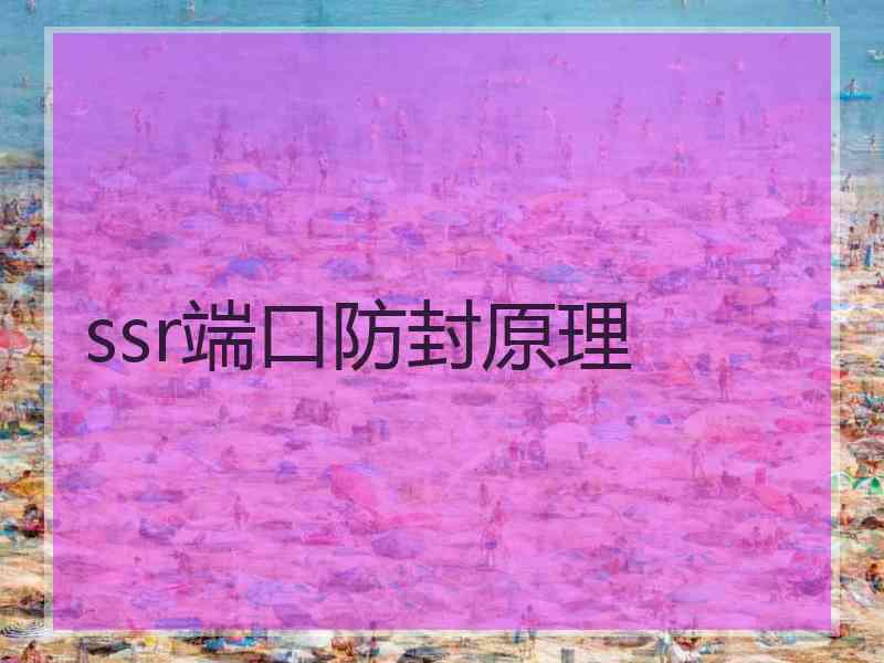 ssr端口防封原理