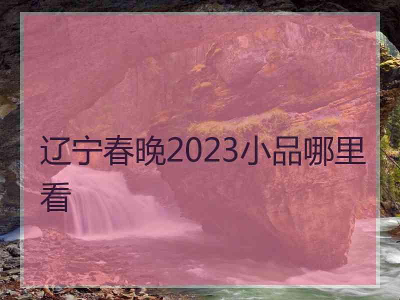 辽宁春晚2023小品哪里看