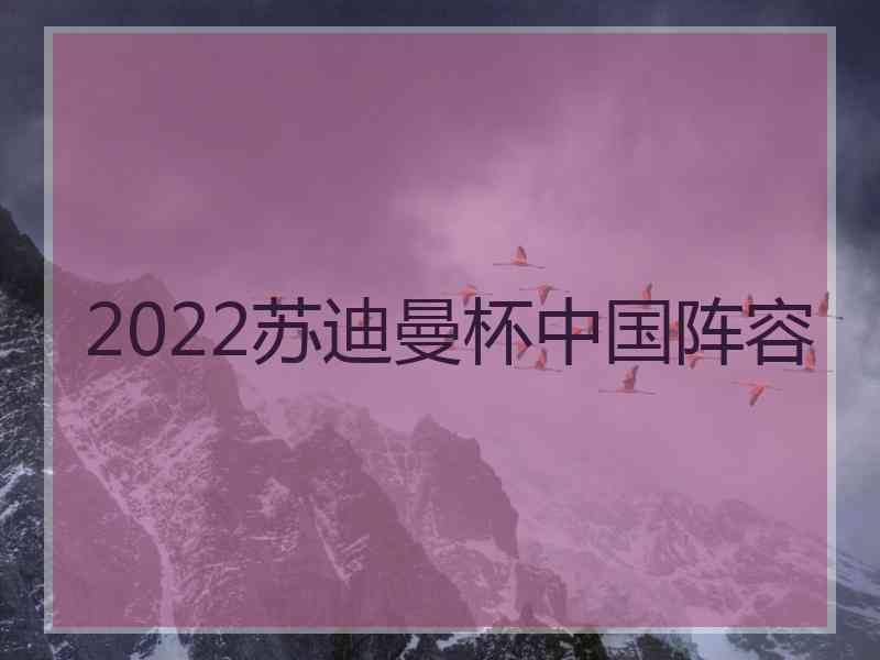 2022苏迪曼杯中国阵容