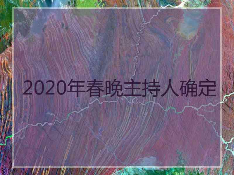 2020年春晚主持人确定