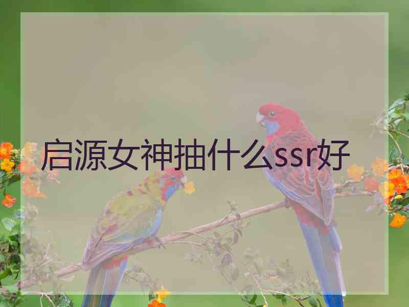 启源女神抽什么ssr好