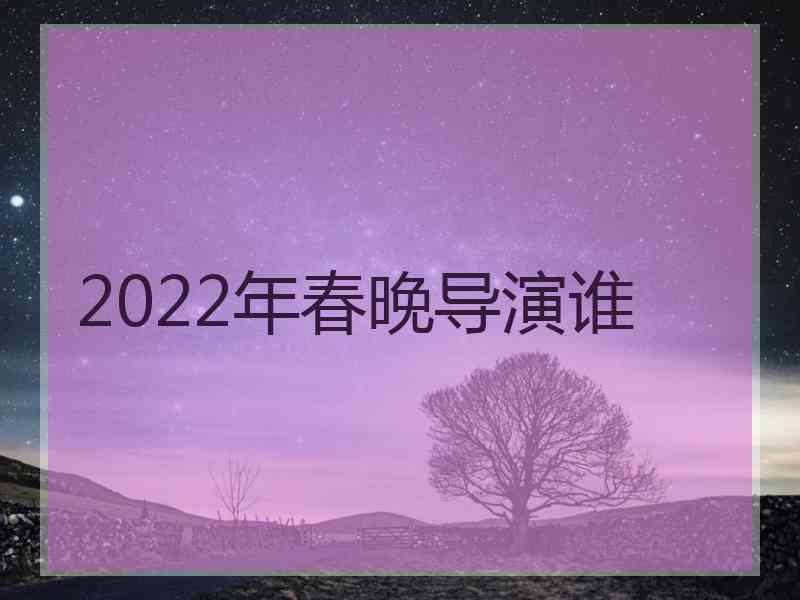 2022年春晚导演谁