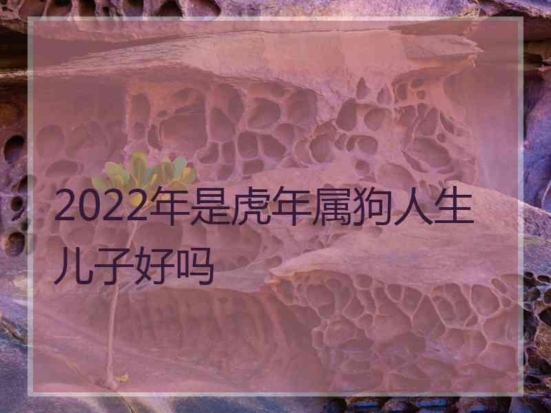 2022年是虎年属狗人生儿子好吗