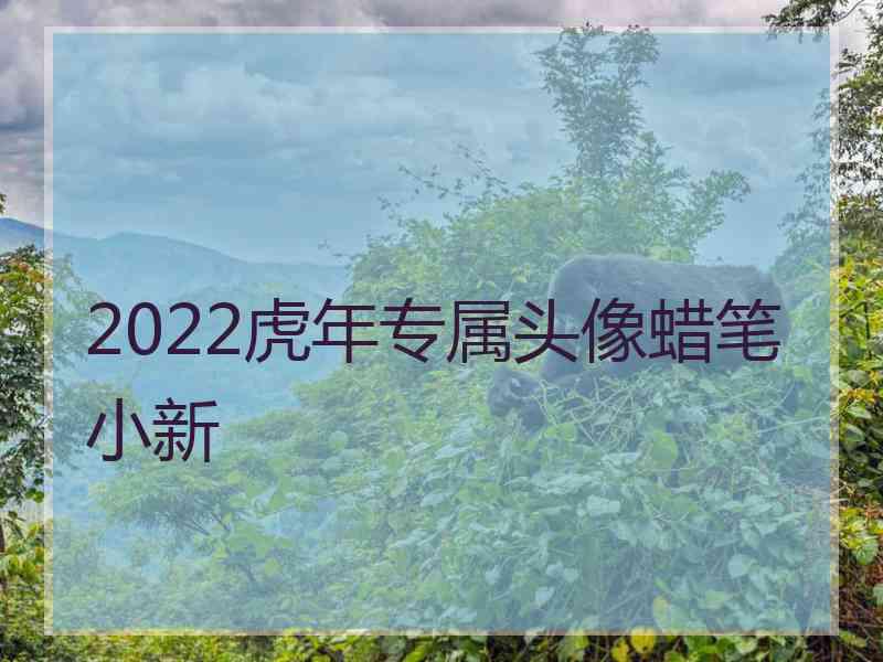 2022虎年专属头像蜡笔小新