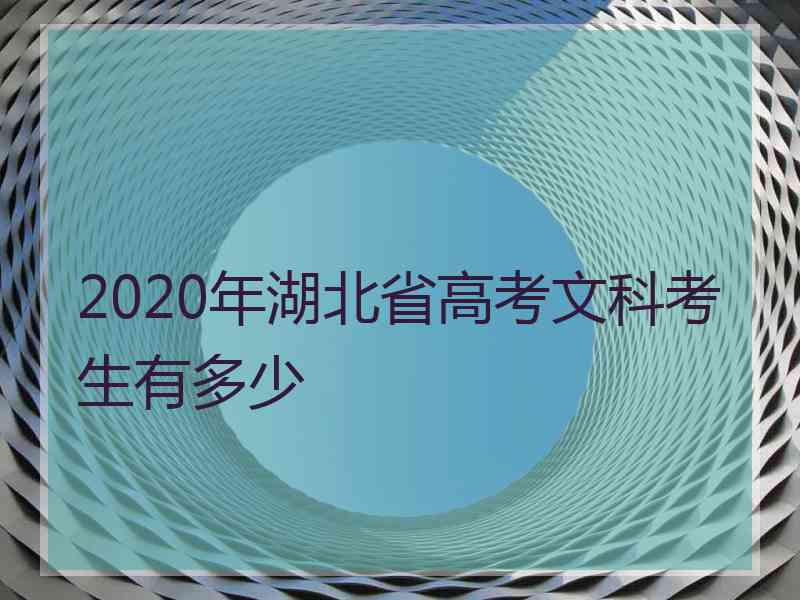 2020年湖北省高考文科考生有多少