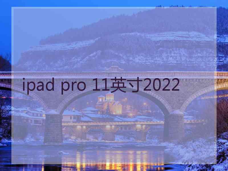 ipad pro 11英寸2022