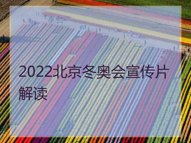 2022北京冬奥会宣传片解读