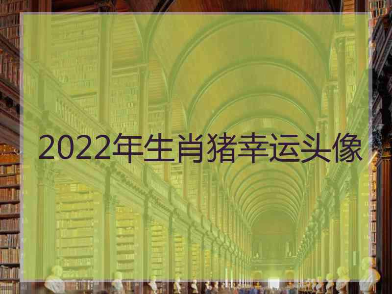 2022年生肖猪幸运头像