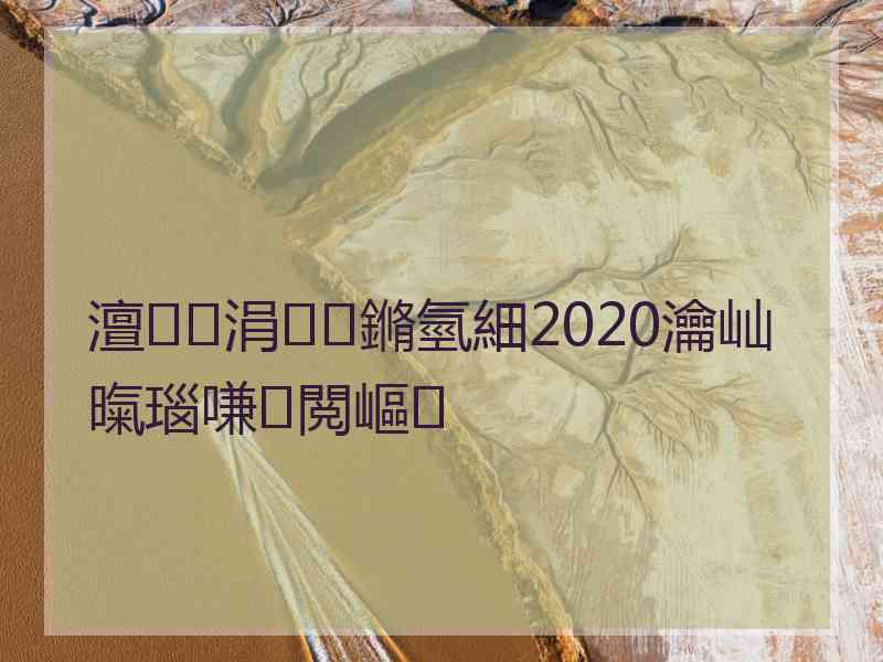 澶涓鏅氫細2020瀹屾暣瑙嗛閲嶇