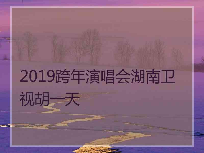 2019跨年演唱会湖南卫视胡一天