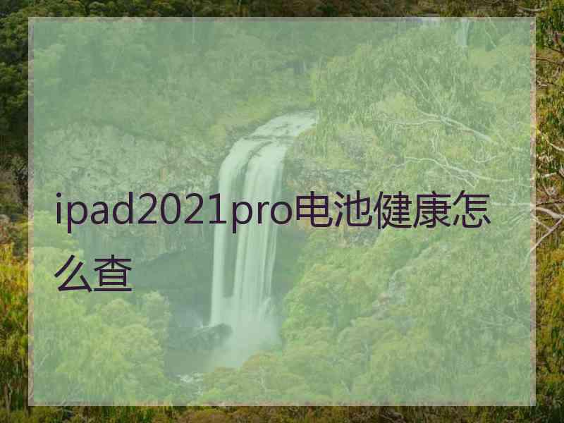 ipad2021pro电池健康怎么查