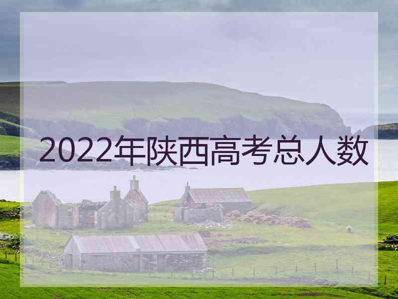 2022年陕西高考总人数