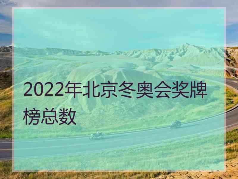 2022年北京冬奥会奖牌榜总数