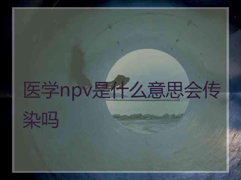 医学npv是什么意思会传染吗