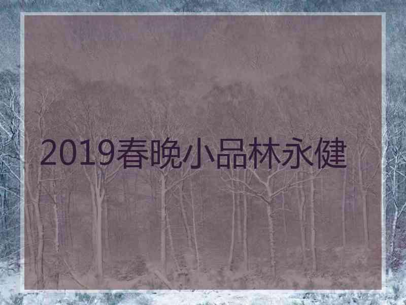 2019春晚小品林永健