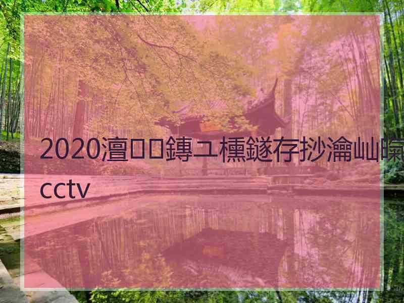 2020澶鏄ユ櫄鐩存挱瀹屾暣cctv