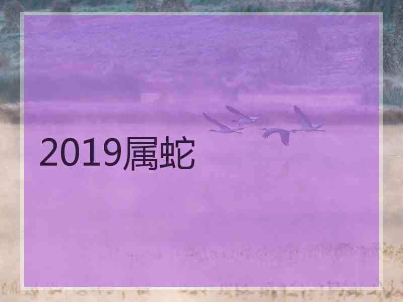 2019属蛇