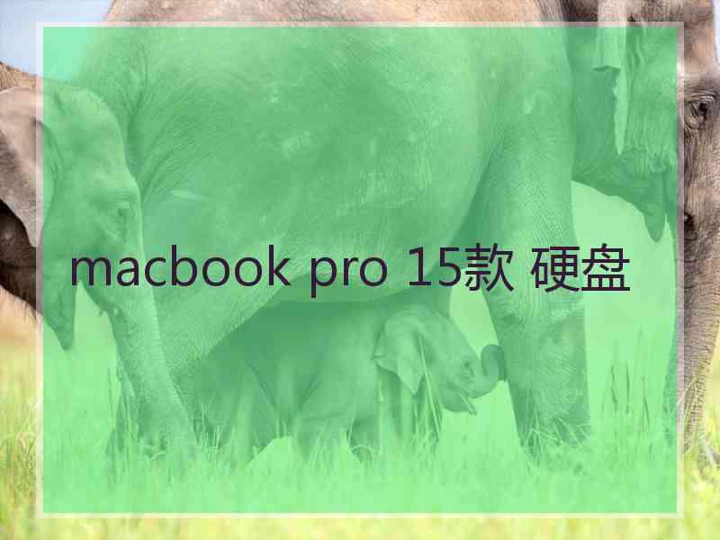 macbook pro 15款 硬盘