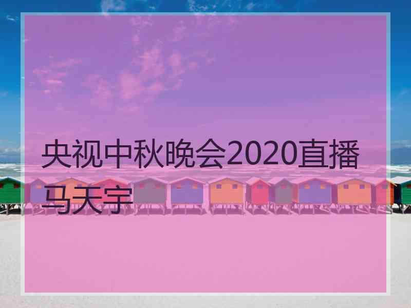 央视中秋晚会2020直播马天宇