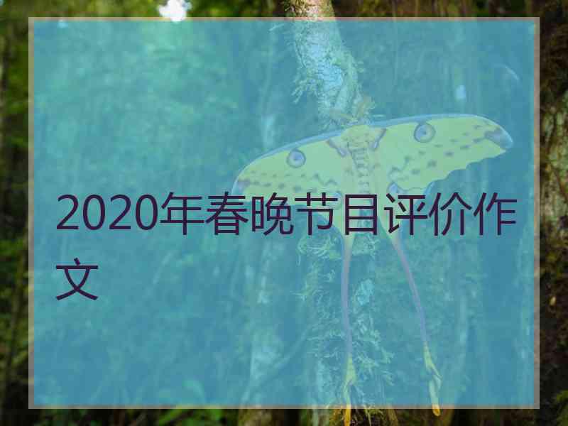 2020年春晚节目评价作文